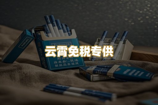 云霄免税专供